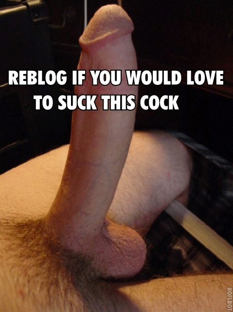 Shemale Cock Worship Captions