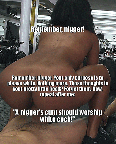 Bulldog reccomend white sluts nigger cock