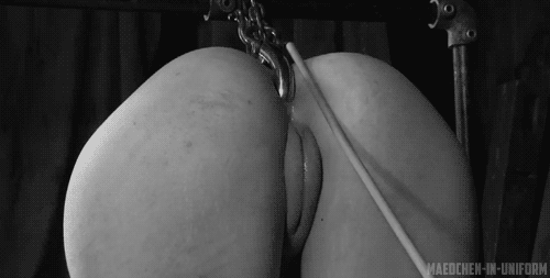 Bdsm anal hooked while cocksucking