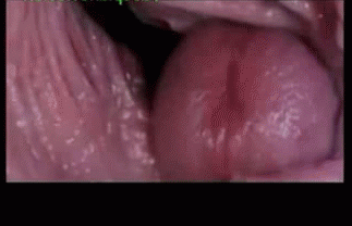 Aqua recomended vagina gifs inside camera