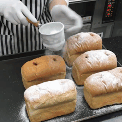 Turanga reccomend reassemble loaf bread