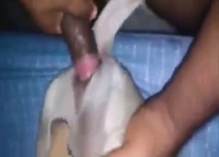 best of Fuck dogs man pussy