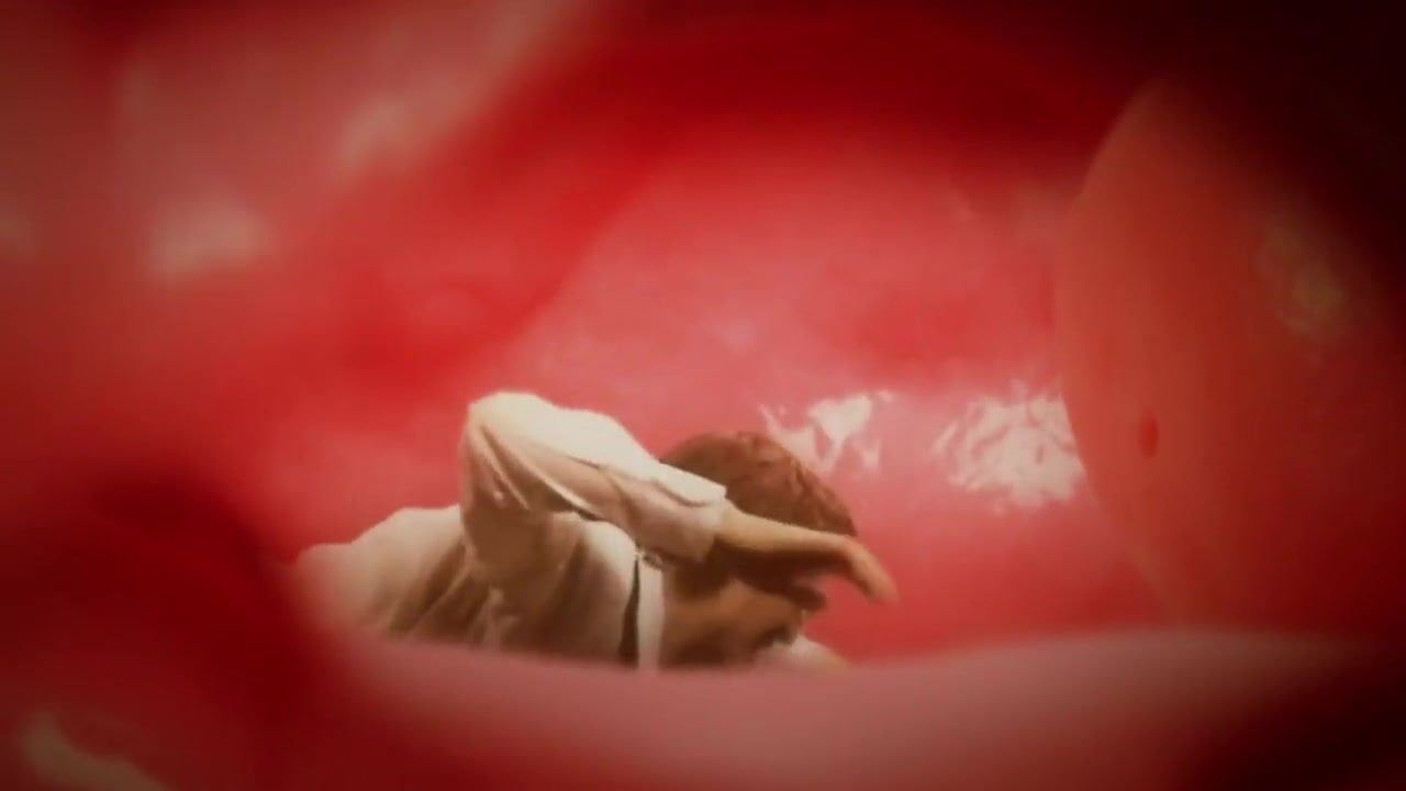 Inside Giantess Vagina