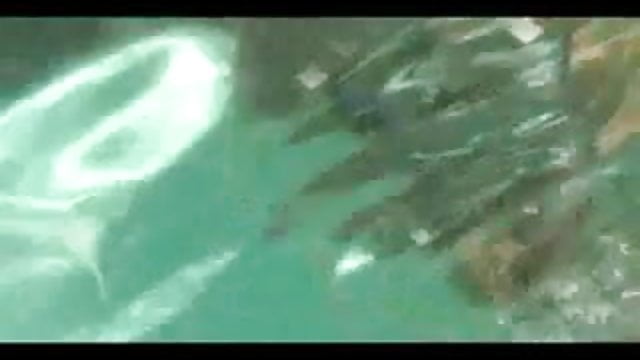 Amber lynn bach underwater blowjob