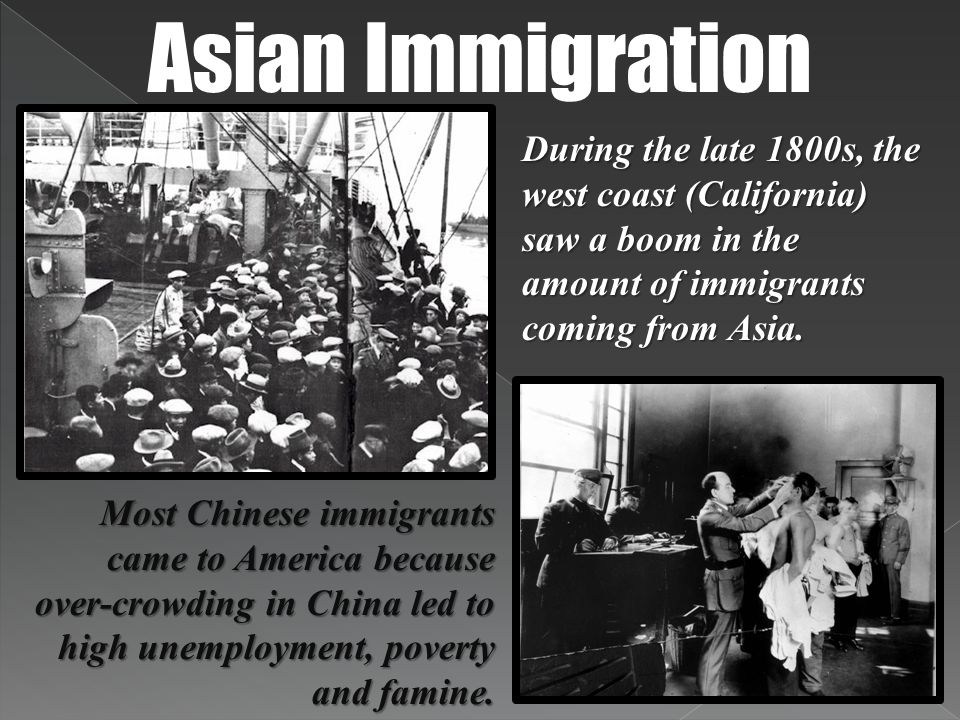 Collision reccomend asian immigrant