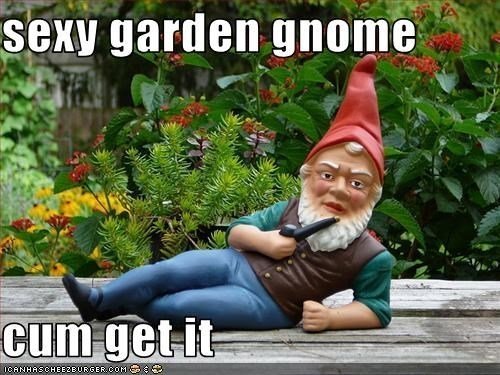 Quest reccomend garden gnome
