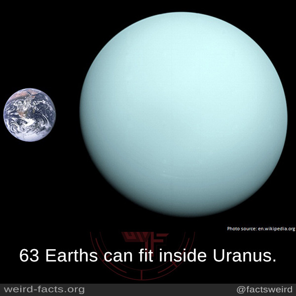 Uranus venus saturn acrylic dildo